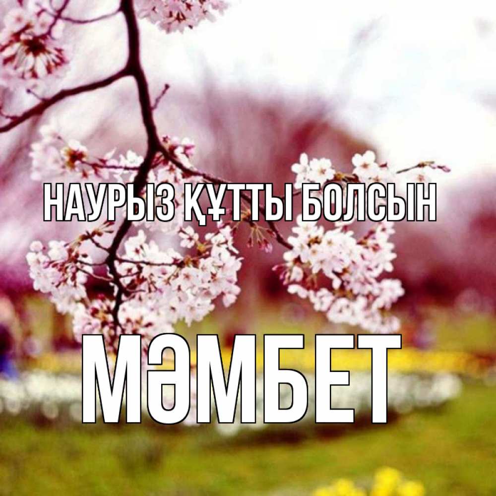 Күн сайын ашық хат с именем, МӘМБЕТ Наурыз құтты болсын яблоня Онлайн тегін жүктеп алу тілектері бар керемет карта 