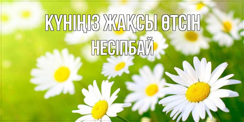 Күн сайын ашық хат с именем, НЕСІПБАЙ Күніңіз жақсы өтсін открытка с ромашками на зеленом фоне Онлайн тегін жүктеп алу тілектері бар керемет карта 