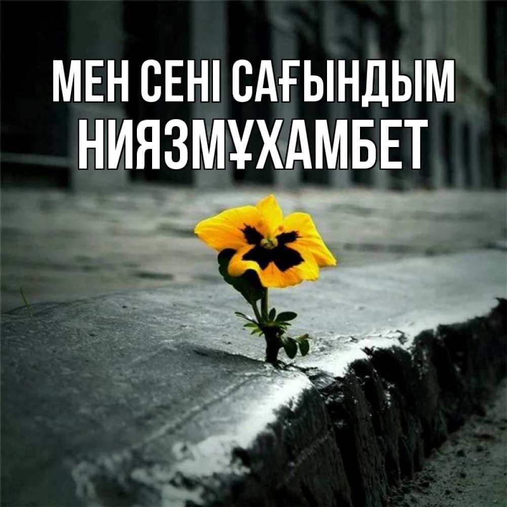 Күн сайын ашық хат с именем, НИЯЗМҰХАМБЕТ Мен сені сағындым надеюсь будет лучше Онлайн тегін жүктеп алу тілектері бар керемет карта 