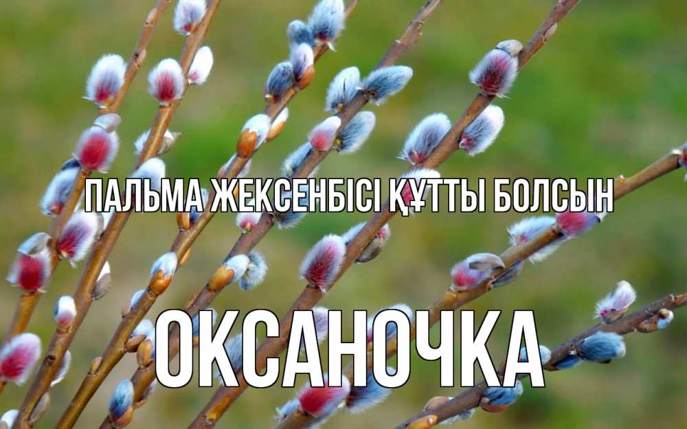 Күн сайын ашық хат с именем, Оксаночка Пальма жексенбісі құтты болсын верба Онлайн тегін жүктеп алу тілектері бар керемет карта 