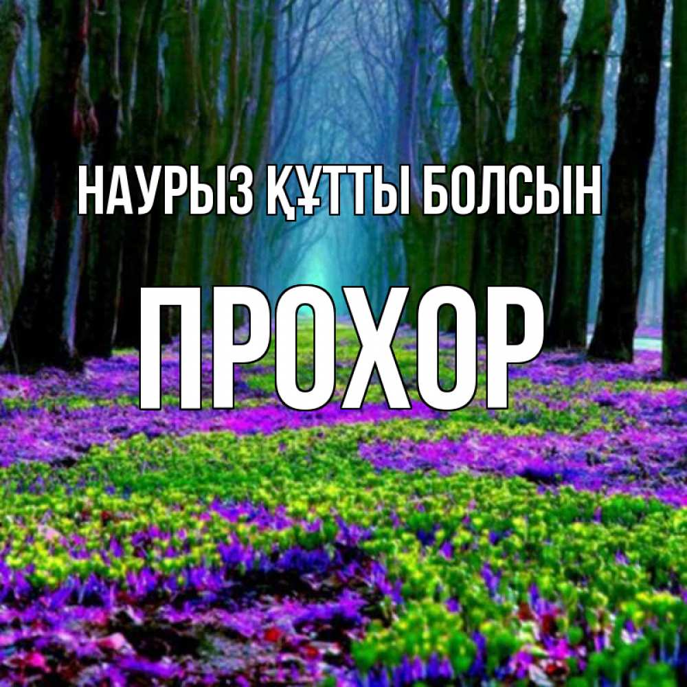 Күн сайын ашық хат с именем, Прохор Наурыз құтты болсын фиолетовые цветы в лесу 1 Онлайн тегін жүктеп алу тілектері бар керемет карта 