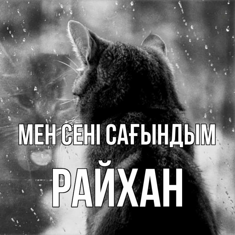 Күн сайын ашық хат с именем, РАЙХАН Мен сені сағындым скорее ко мне приходи 1 Онлайн тегін жүктеп алу тілектері бар керемет карта 