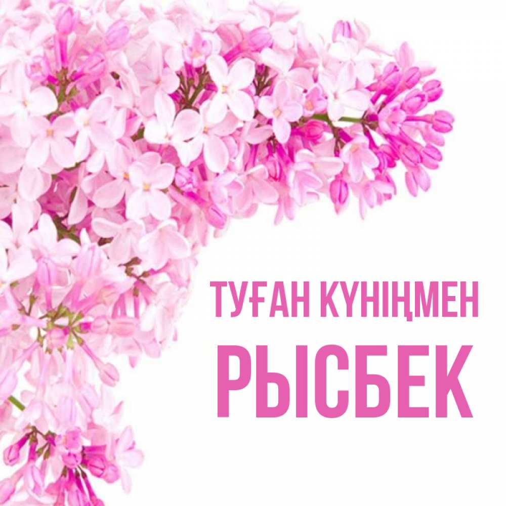 Күн сайын ашық хат с именем, РЫСБЕК Туған күніңмен Сирень на белом фоне Онлайн тегін жүктеп алу тілектері бар керемет карта 