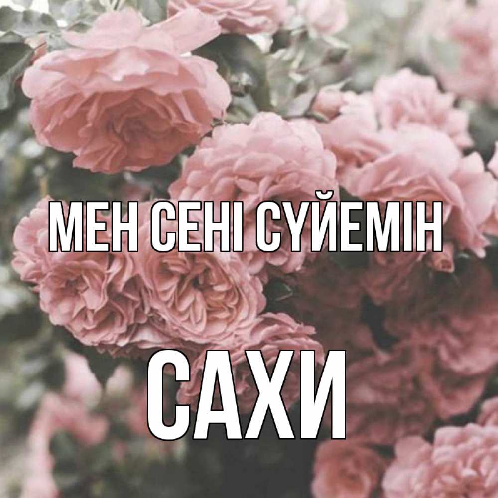 Күн сайын ашық хат с именем, САХИ Мен сені сүйемін розы 3 Онлайн тегін жүктеп алу тілектері бар керемет карта 