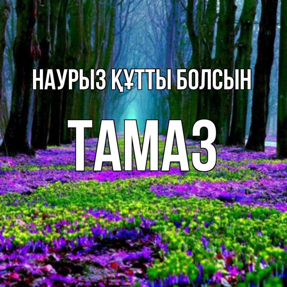 Күн сайын ашық хат с именем, Тамаз Наурыз құтты болсын фиолетовые цветы в лесу 1 Онлайн тегін жүктеп алу тілектері бар керемет карта 