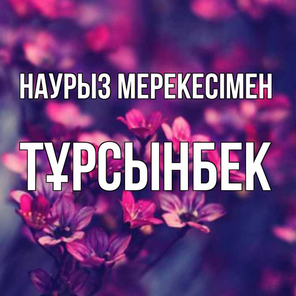 Күн сайын ашық хат с именем, ТҰРСЫНБЕК Наурыз мерекесімен небольшие цветы 1 Онлайн тегін жүктеп алу тілектері бар керемет карта 