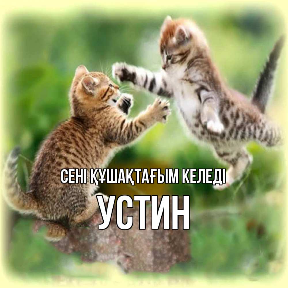 Күн сайын ашық хат с именем, Устин сені құшақтағым келеді игры котят Онлайн тегін жүктеп алу тілектері бар керемет карта 