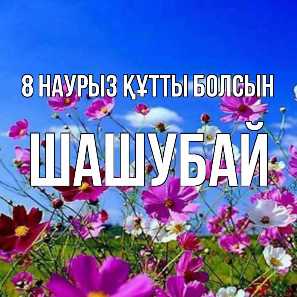 Күн сайын ашық хат с именем, ШАШУБАЙ 8 наурыз құтты болсын цветы Онлайн тегін жүктеп алу тілектері бар керемет карта 