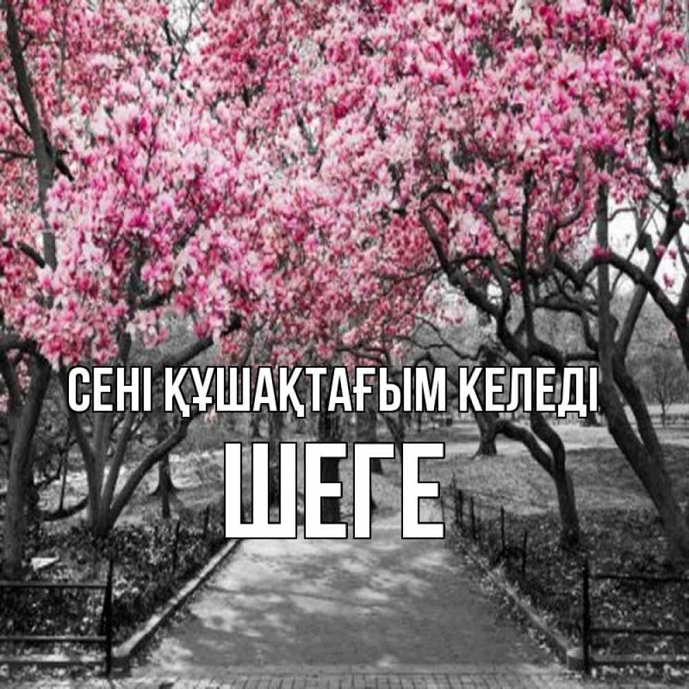 Күн сайын ашық хат с именем, ШЕГЕ сені құшақтағым келеді обработанное фото Онлайн тегін жүктеп алу тілектері бар керемет карта 