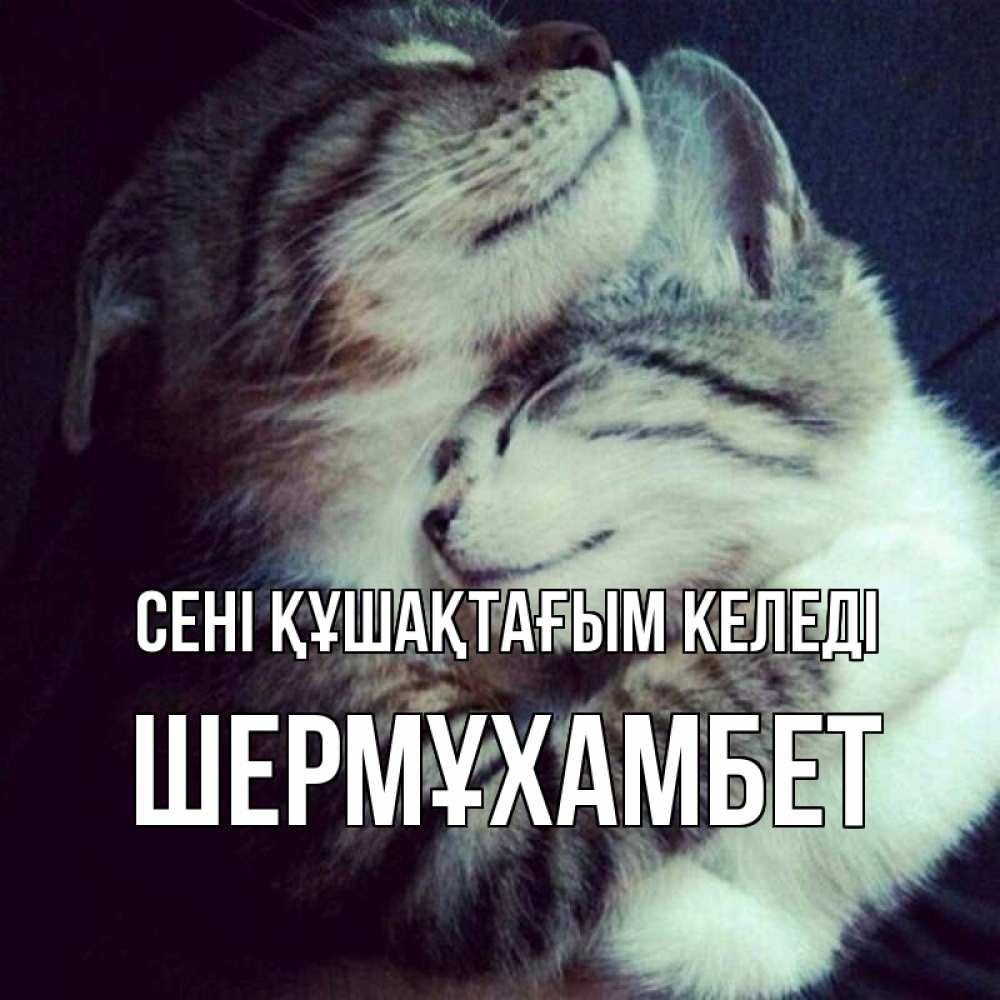 Күн сайын ашық хат с именем, ШЕРМҰХАМБЕТ сені құшақтағым келеді полосатики Онлайн тегін жүктеп алу тілектері бар керемет карта 