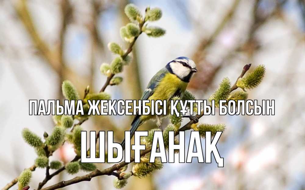 Күн сайын ашық хат с именем, ШЫҒАНАҚ Пальма жексенбісі құтты болсын верба Онлайн тегін жүктеп алу тілектері бар керемет карта 