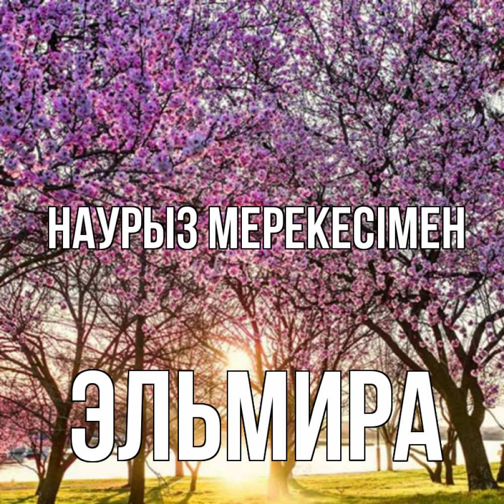 Күн сайын ашық хат с именем, Эльмира Наурыз мерекесімен праздник весны наурыз Онлайн тегін жүктеп алу тілектері бар керемет карта 