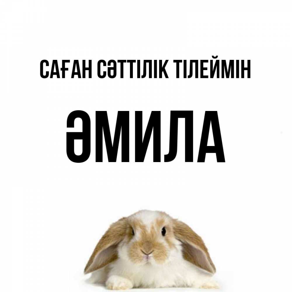 Күн сайын ашық хат с именем, ӘМИЛА Саған сәттілік тілеймін открытки с произвольным текстом который можно вставить в открытку и создать ее самостоятельно бесплатно онлайн Онлайн тегін жүктеп алу тілектері бар керемет карта 