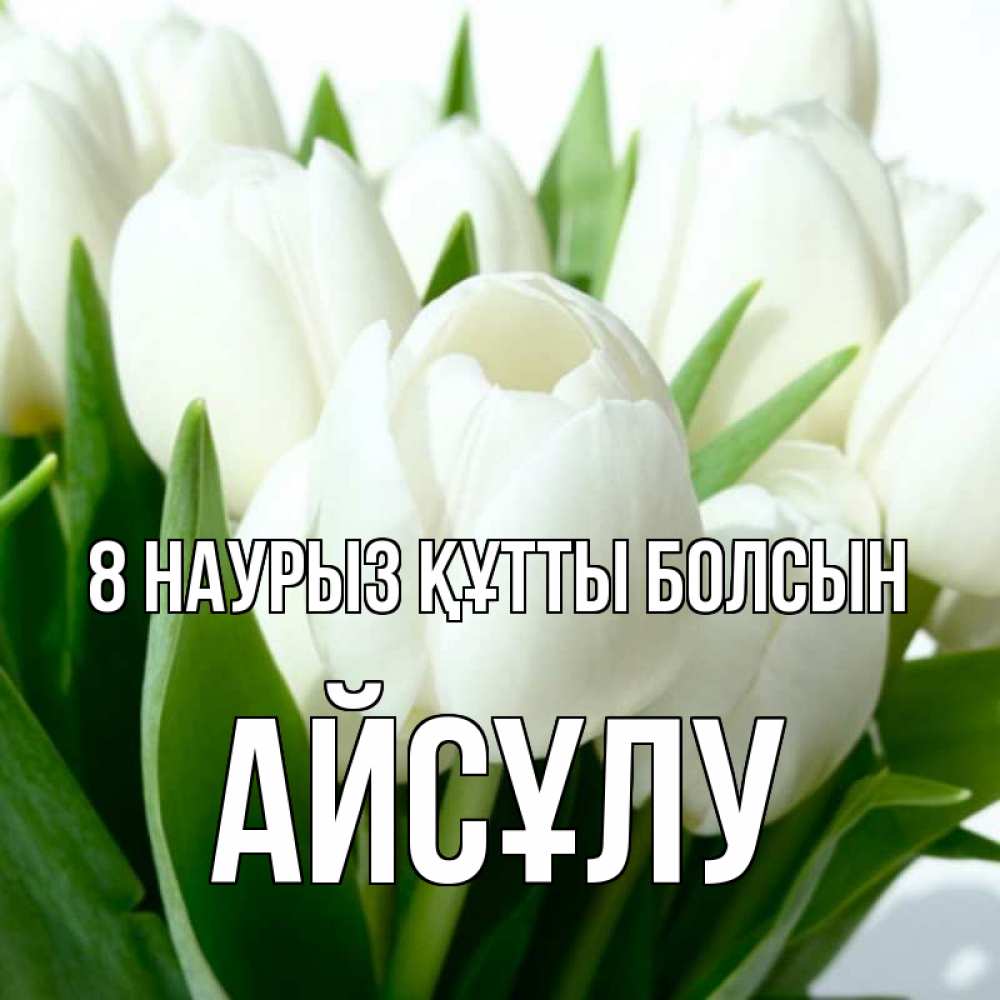 Күн сайын ашық хат с именем, АЙСҰЛУ 8 наурыз құтты болсын цветы Онлайн тегін жүктеп алу тілектері бар керемет карта 
