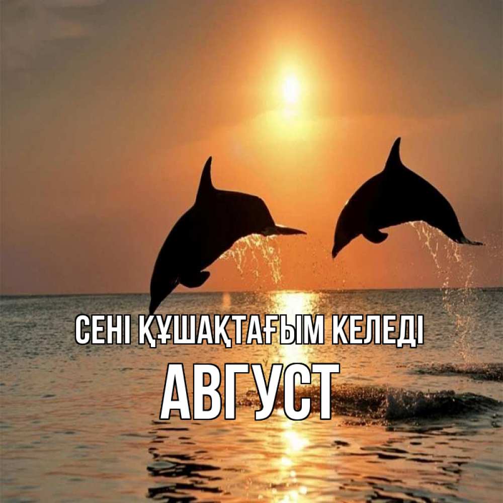 Күн сайын ашық хат с именем, Август сені құшақтағым келеді рыбы на закате Онлайн тегін жүктеп алу тілектері бар керемет карта 