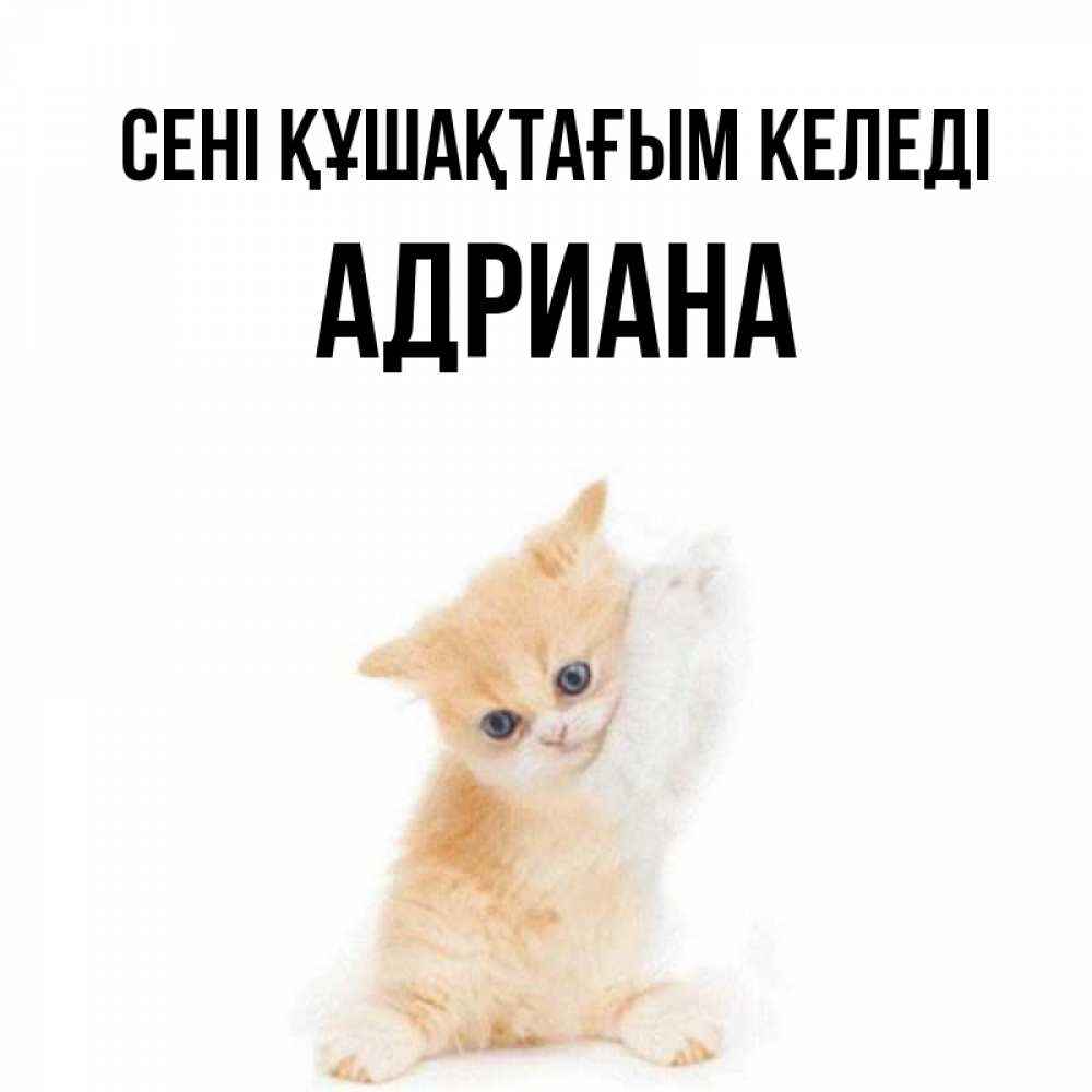 Күн сайын ашық хат с именем, Адриана сені құшақтағым келеді я хочу очень скорее обнимаешек Онлайн тегін жүктеп алу тілектері бар керемет карта 
