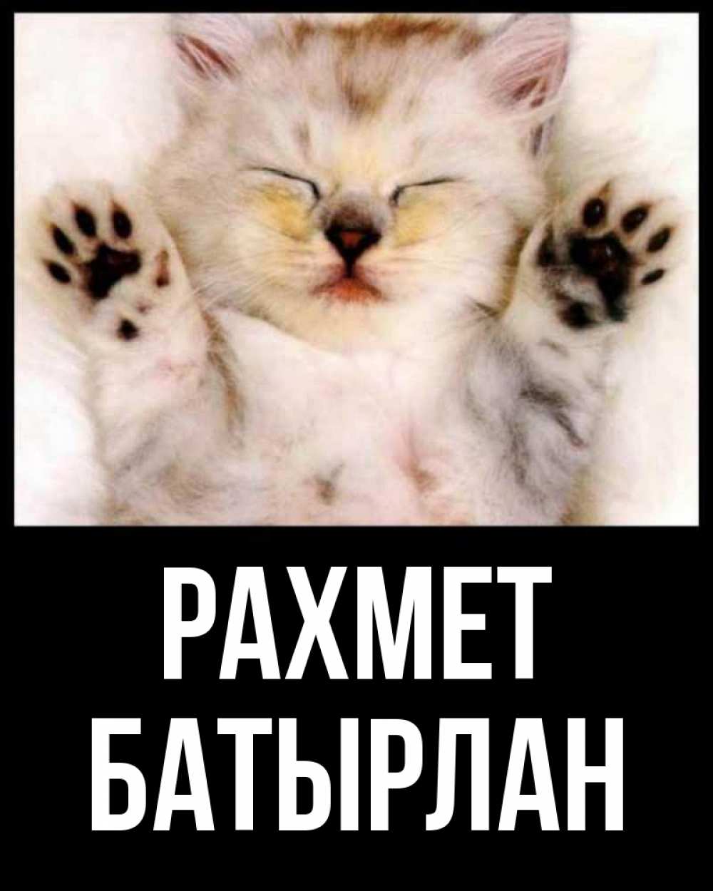 Күн сайын ашық хат с именем, Батырлан рахмет маленький котенок Онлайн тегін жүктеп алу тілектері бар керемет карта 