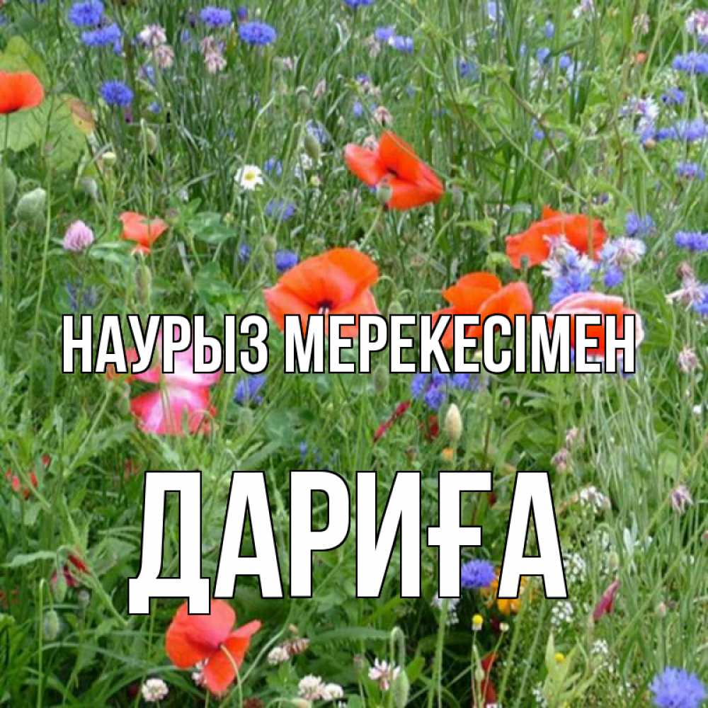 Күн сайын ашық хат с именем, ДАРИҒА Наурыз мерекесімен праздник весны наурыз супер открытка Онлайн тегін жүктеп алу тілектері бар керемет карта 