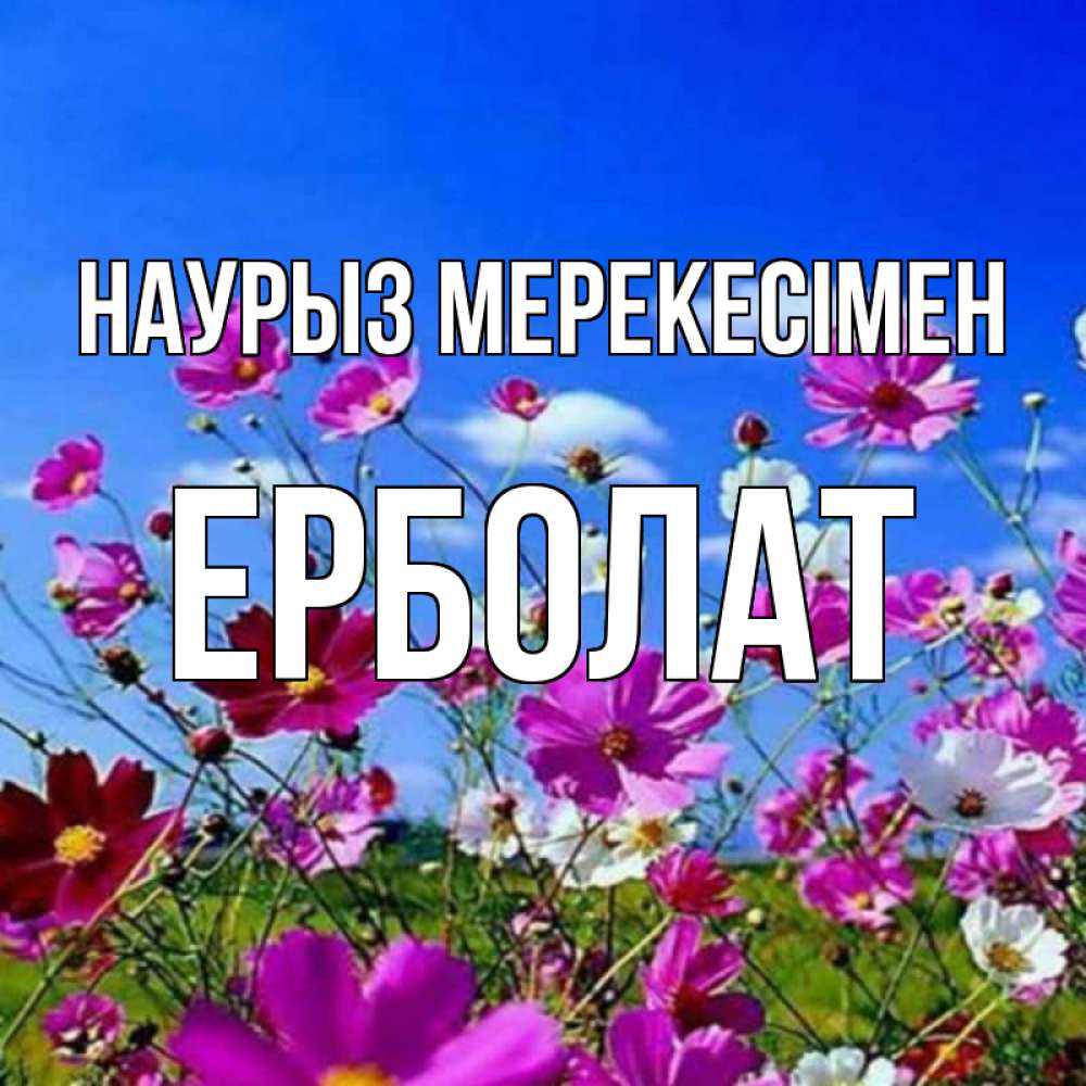 Күн сайын ашық хат с именем, Ерболат Наурыз мерекесімен цветы Онлайн тегін жүктеп алу тілектері бар керемет карта 