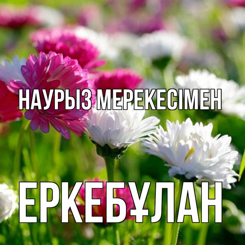 Күн сайын ашық хат с именем, Еркебұлан Наурыз мерекесімен праздник весны наурыз красота Онлайн тегін жүктеп алу тілектері бар керемет карта 