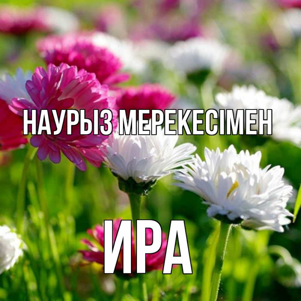 Күн сайын ашық хат с именем, Ира Наурыз мерекесімен праздник весны наурыз красота Онлайн тегін жүктеп алу тілектері бар керемет карта 