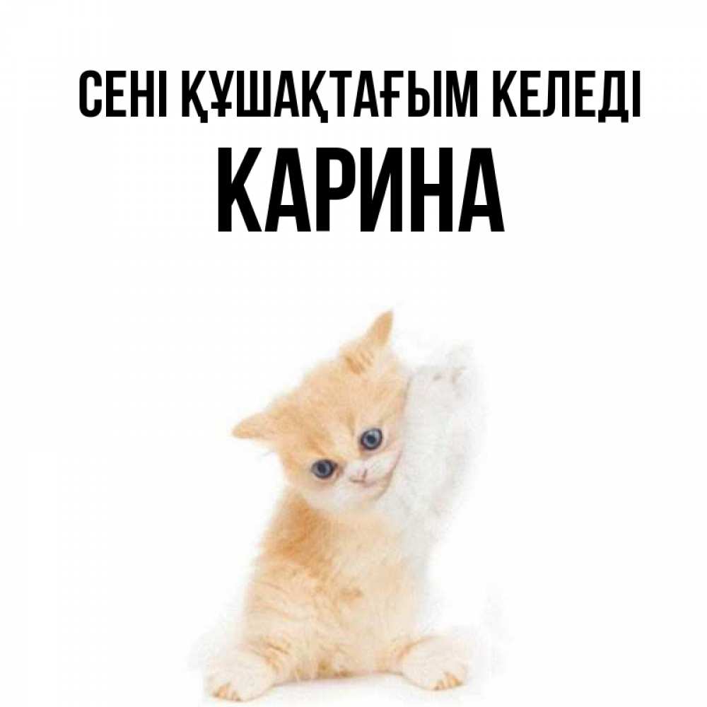 Күн сайын ашық хат с именем, Карина сені құшақтағым келеді я хочу очень скорее обнимаешек Онлайн тегін жүктеп алу тілектері бар керемет карта 