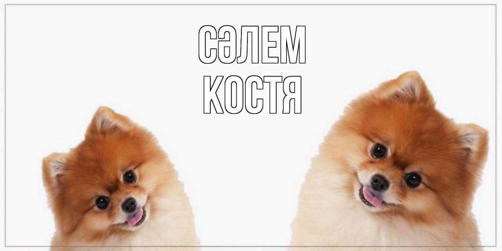 Күн сайын ашық хат с именем, Костя Сәлем привет Онлайн тегін жүктеп алу тілектері бар керемет карта 