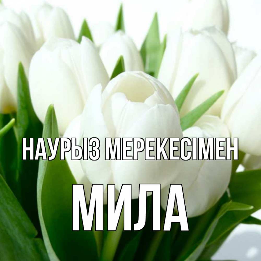 Күн сайын ашық хат с именем, Мила Наурыз мерекесімен цветы Онлайн тегін жүктеп алу тілектері бар керемет карта 