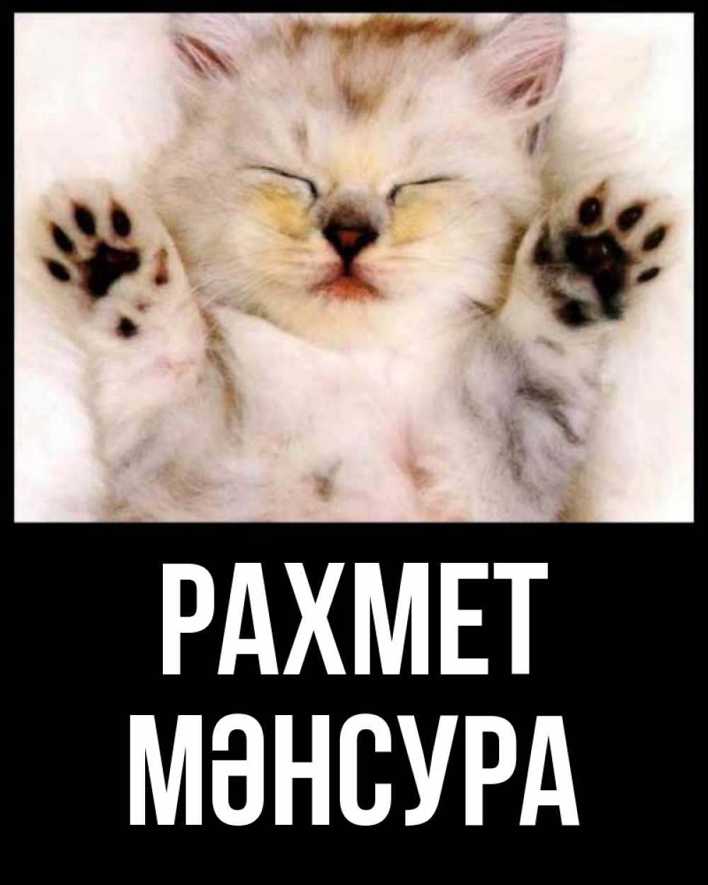 Күн сайын ашық хат с именем, МӘНСУРА рахмет маленький котенок Онлайн тегін жүктеп алу тілектері бар керемет карта 