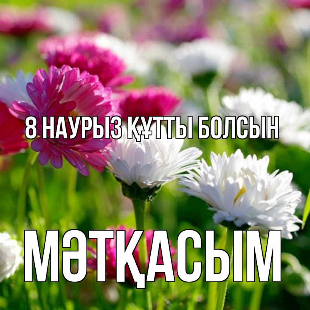 Күн сайын ашық хат с именем, МӘТҚАСЫМ 8 наурыз құтты болсын международный женский день 1 Онлайн тегін жүктеп алу тілектері бар керемет карта 
