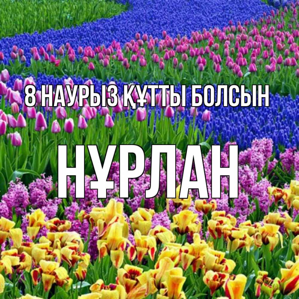 Күн сайын ашық хат с именем, НҰРЛАН 8 наурыз құтты болсын цветы Онлайн тегін жүктеп алу тілектері бар керемет карта 