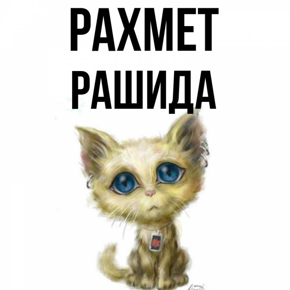 Күн сайын ашық хат с именем, РАШИДА рахмет рисованный кот благодарит вас Онлайн тегін жүктеп алу тілектері бар керемет карта 
