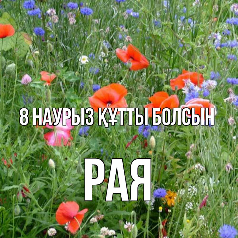 Күн сайын ашық хат с именем, Рая 8 наурыз құтты болсын международный женский день 4 Онлайн тегін жүктеп алу тілектері бар керемет карта 