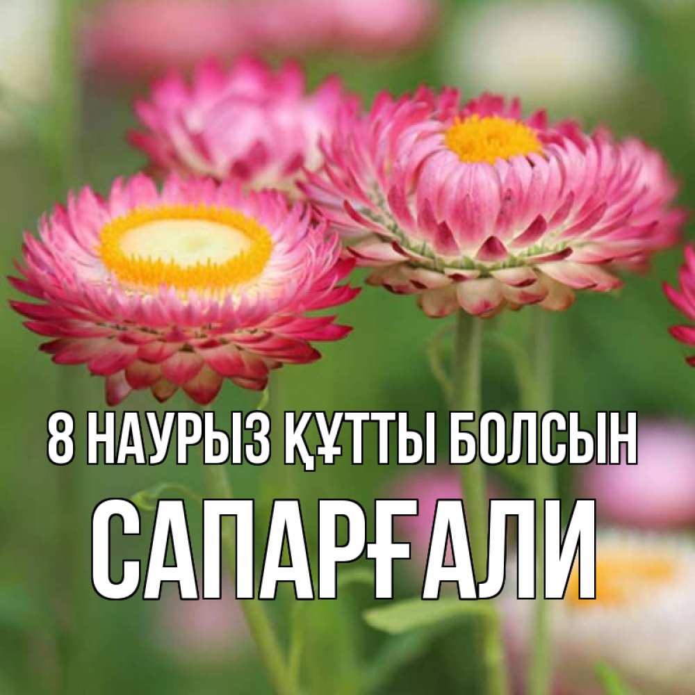 Күн сайын ашық хат с именем, САПАРҒАЛИ 8 наурыз құтты болсын подарок на международный женский день Онлайн тегін жүктеп алу тілектері бар керемет карта 