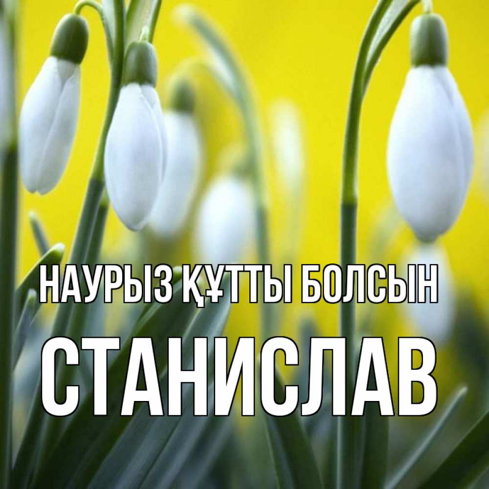 Күн сайын ашық хат с именем, Станислав Наурыз құтты болсын весенние цветы Онлайн тегін жүктеп алу тілектері бар керемет карта 
