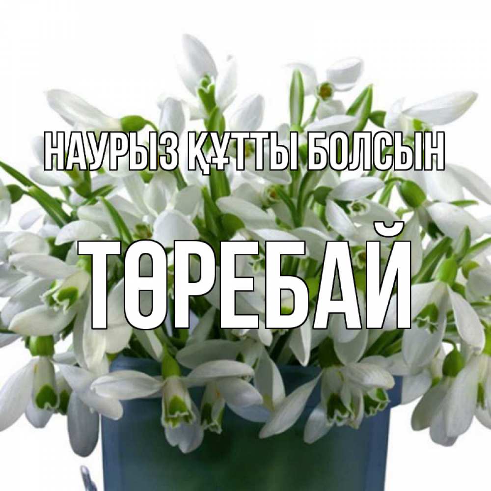 Күн сайын ашық хат с именем, Төребай Наурыз құтты болсын цветы к наурызу Онлайн тегін жүктеп алу тілектері бар керемет карта 