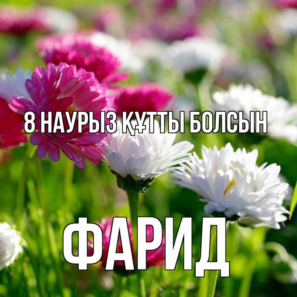 Күн сайын ашық хат с именем, ФАРИД 8 наурыз құтты болсын международный женский день 1 Онлайн тегін жүктеп алу тілектері бар керемет карта 
