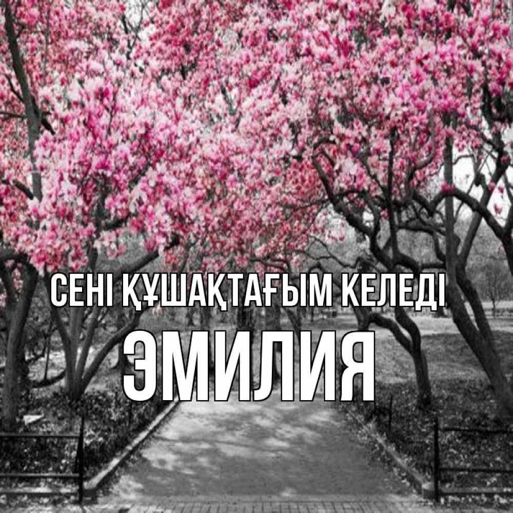 Күн сайын ашық хат с именем, Эмилия сені құшақтағым келеді обработанное фото Онлайн тегін жүктеп алу тілектері бар керемет карта 