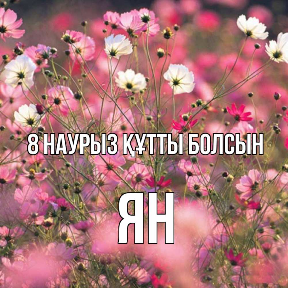 Күн сайын ашық хат с именем, Ян 8 наурыз құтты болсын красиво 1 Онлайн тегін жүктеп алу тілектері бар керемет карта 