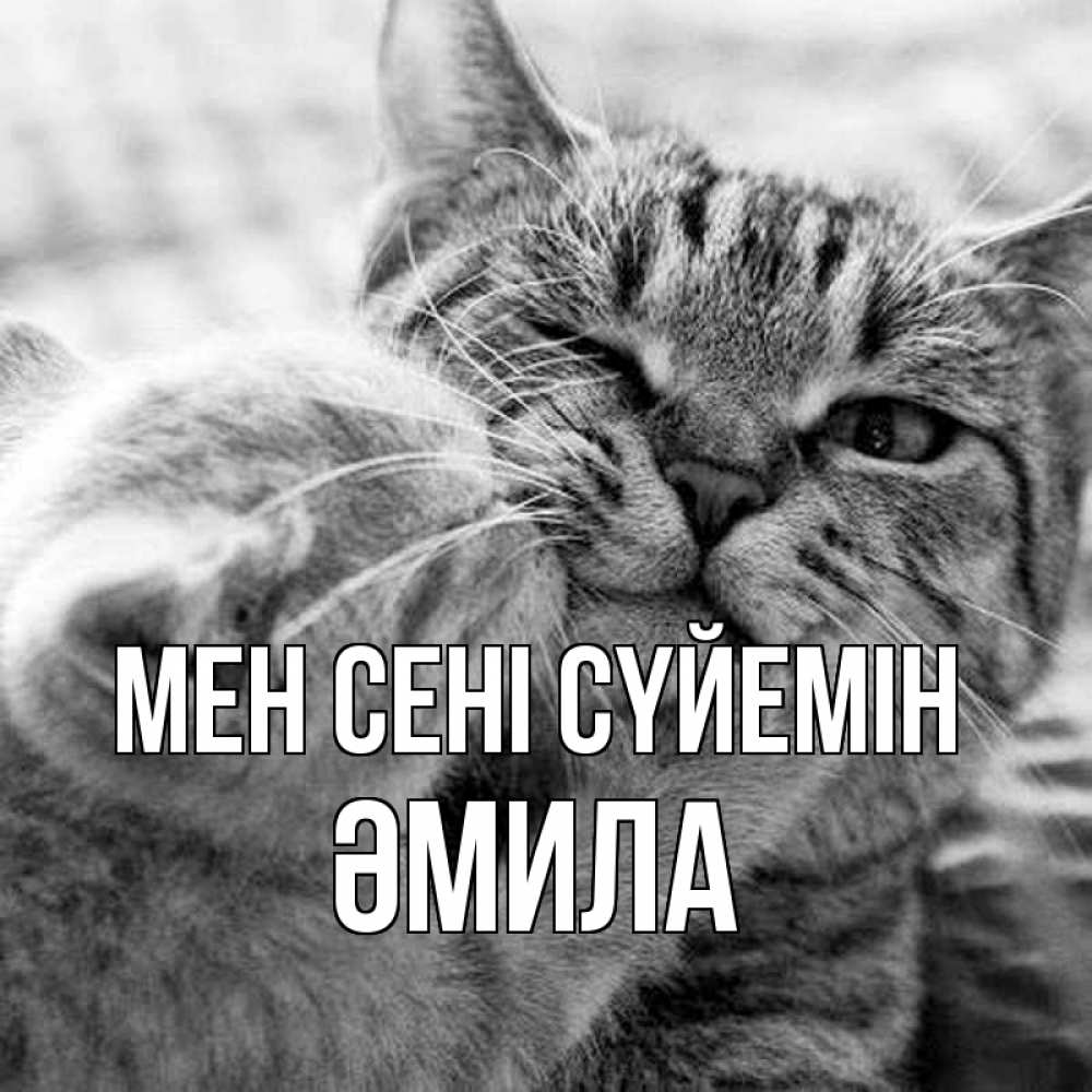 Күн сайын ашық хат с именем, ӘМИЛА Мен сені сүйемін коты Онлайн тегін жүктеп алу тілектері бар керемет карта 