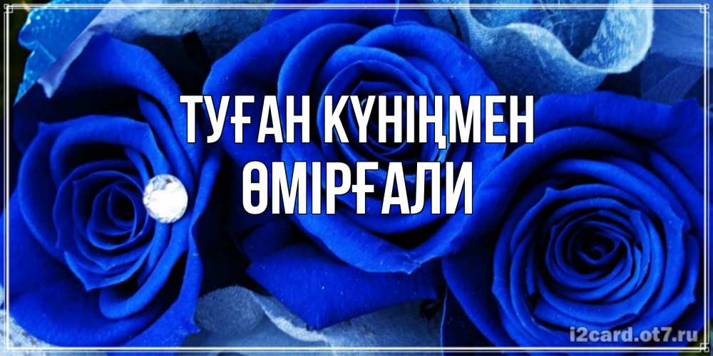 Күн сайын ашық хат с именем, ӨМІРҒАЛИ Туған күніңмен синие розы в росе Онлайн тегін жүктеп алу тілектері бар керемет карта 
