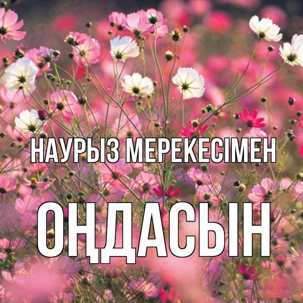 Күн сайын ашық хат с именем, ОҢДАСЫН Наурыз мерекесімен красиво 1 Онлайн тегін жүктеп алу тілектері бар керемет карта 