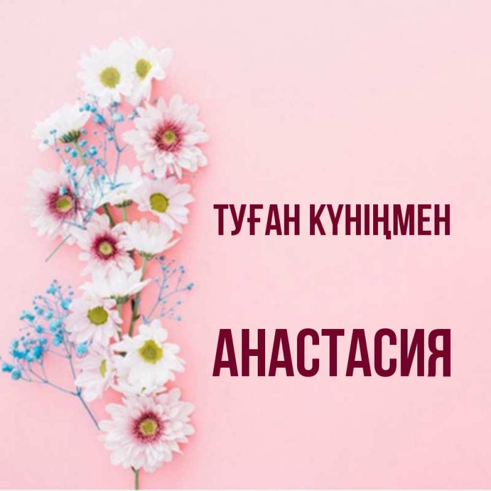 Күн сайын ашық хат с именем, Анастасия Туған күніңмен Родная моя с днем рождения тебя картинка с цветами белыми и голубыми Онлайн тегін жүктеп алу тілектері бар керемет карта 
