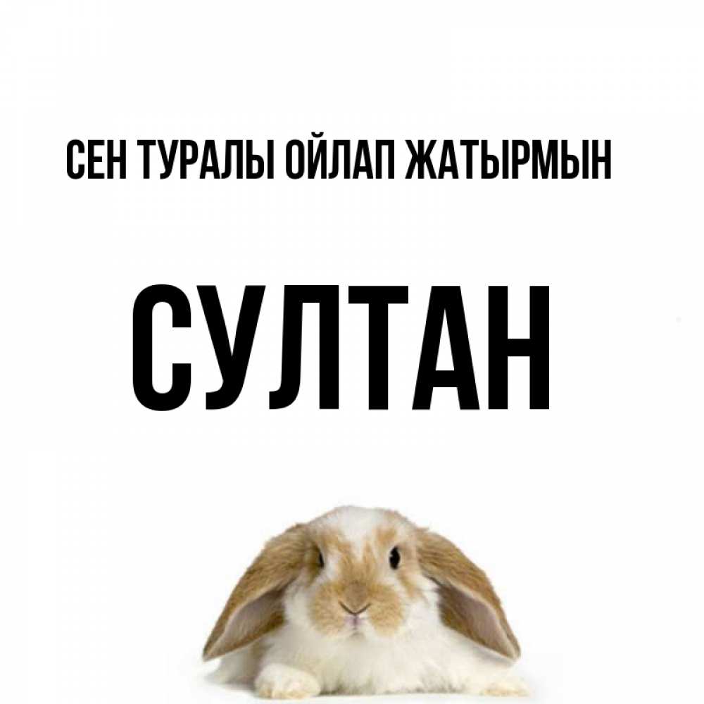 Күн сайын ашық хат с именем, Султан Сен туралы ойлап жатырмын подписать своими руками онлайн Онлайн тегін жүктеп алу тілектері бар керемет карта 