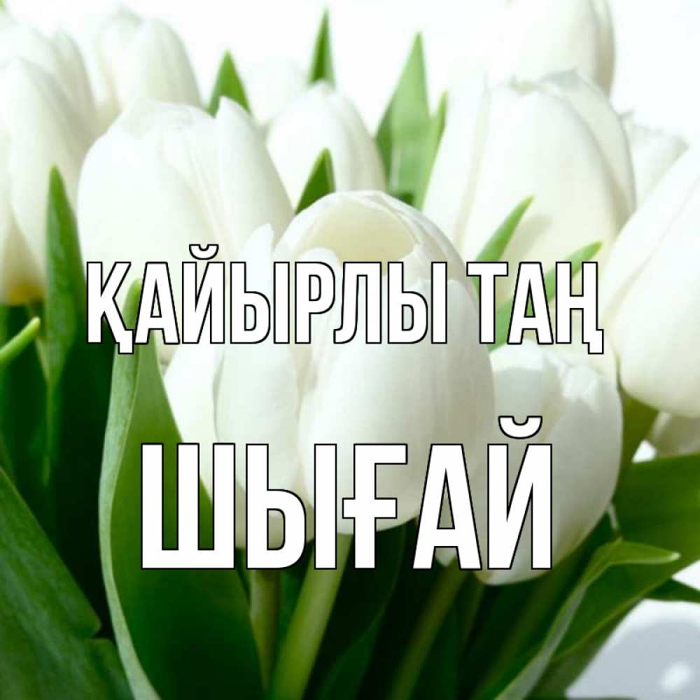 Күн сайын ашық хат с именем, ШЫҒАЙ Қайырлы таң открытки на каждый день по именам Онлайн тегін жүктеп алу тілектері бар керемет карта 