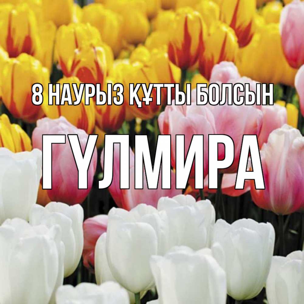 Күн сайын ашық хат с именем, ГҮЛМИРА 8 наурыз құтты болсын разноцветные цветы Онлайн тегін жүктеп алу тілектері бар керемет карта 