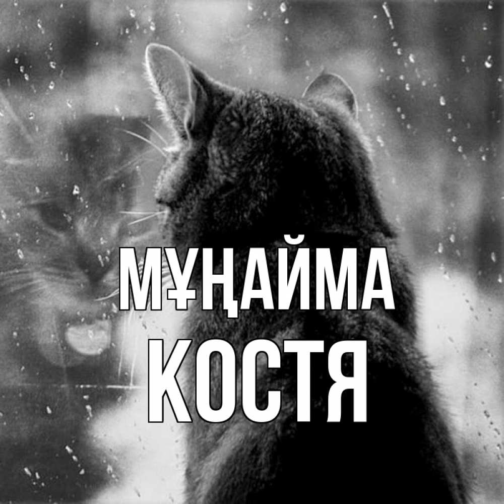 Күн сайын ашық хат с именем, Костя Мұңайма отражение кота 1 Онлайн тегін жүктеп алу тілектері бар керемет карта 