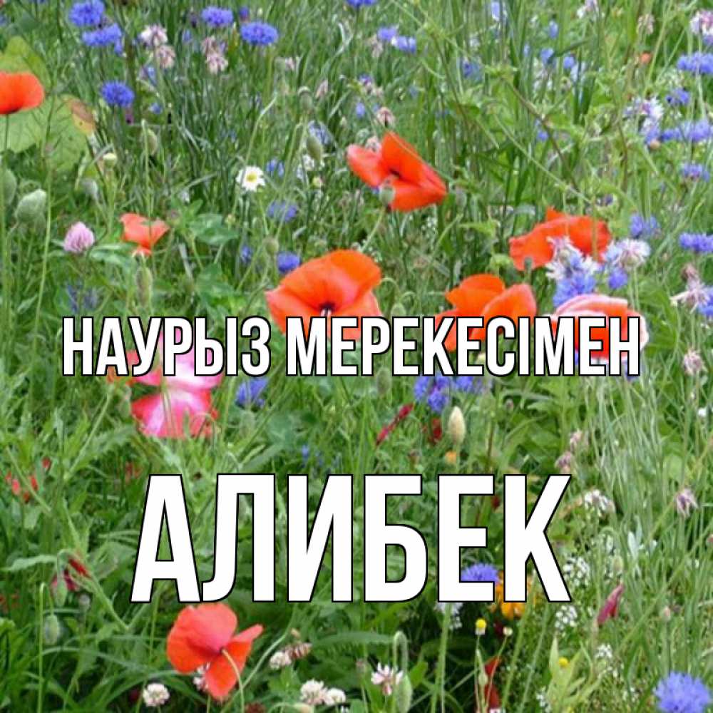 Күн сайын ашық хат с именем, Алибек Наурыз мерекесімен праздник весны наурыз супер открытка Онлайн тегін жүктеп алу тілектері бар керемет карта 