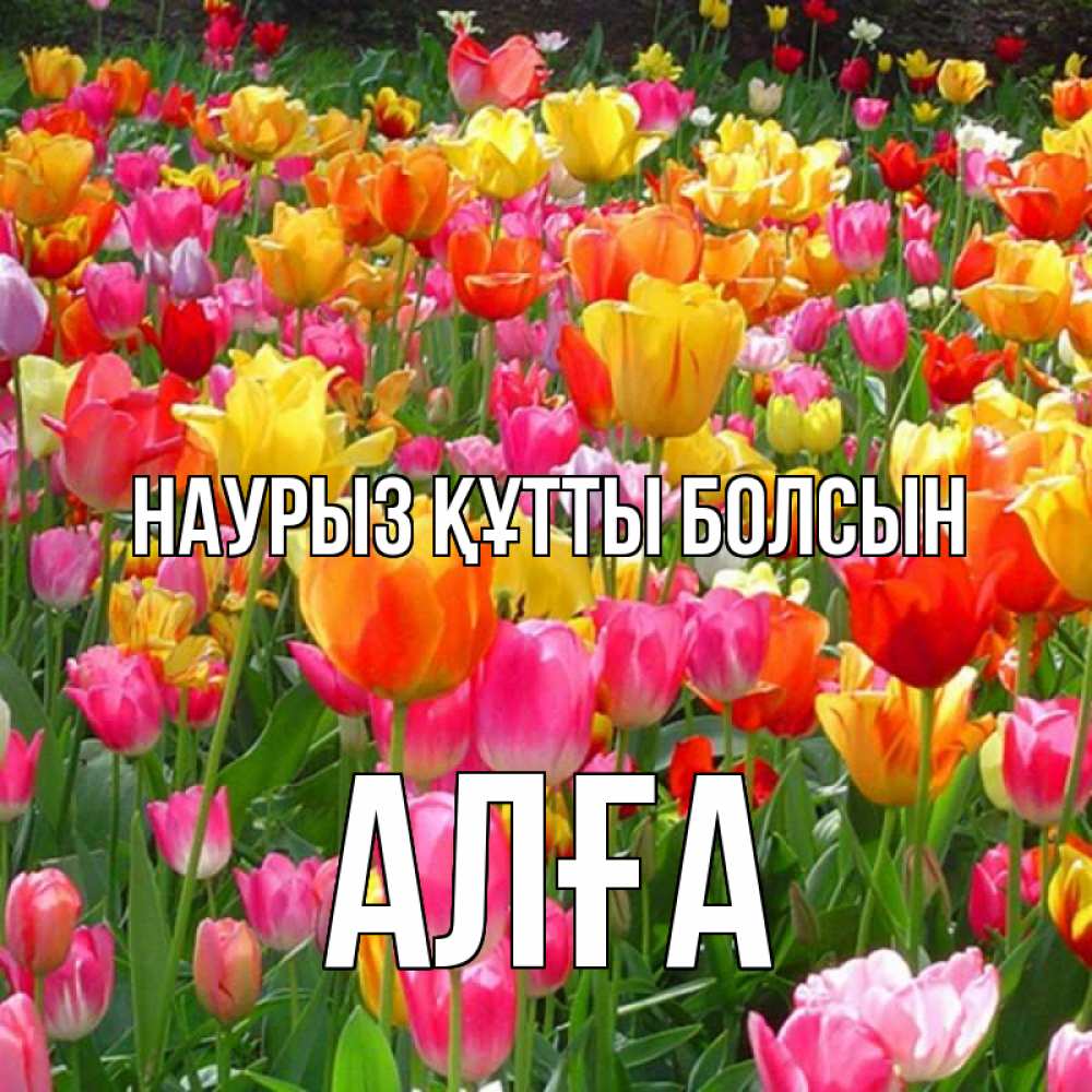 Күн сайын ашық хат с именем, Алға Наурыз құтты болсын на наурыз  ура ура Онлайн тегін жүктеп алу тілектері бар керемет карта 