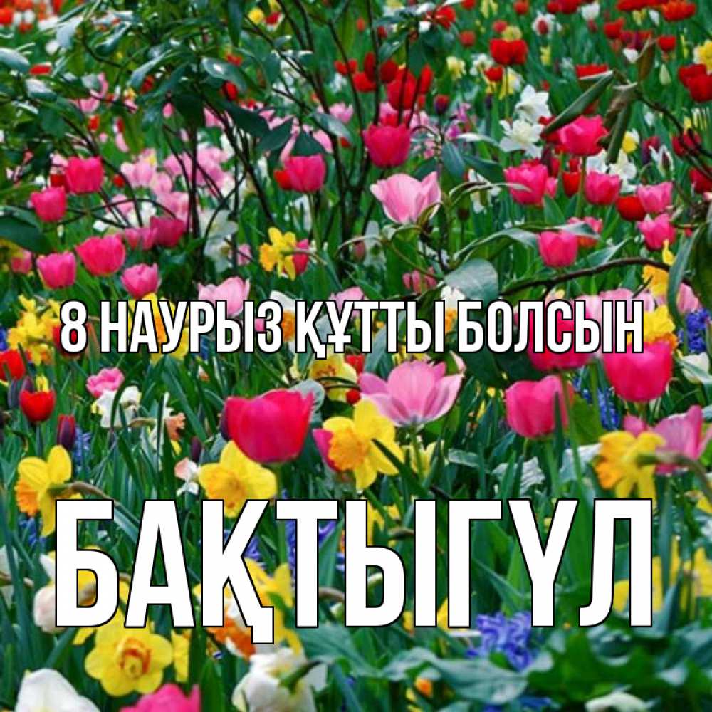 Күн сайын ашық хат с именем, БАҚТЫГҮЛ 8 наурыз құтты болсын с международным женским днем поздравления для женщины Онлайн тегін жүктеп алу тілектері бар керемет карта 